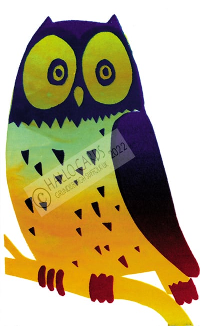Image of Owl
