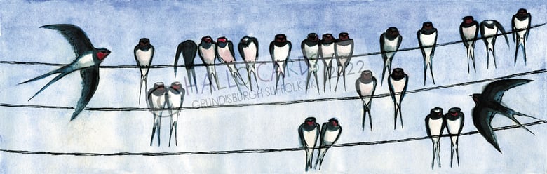 Image of Swallows