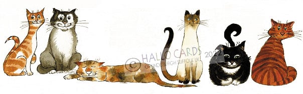 Image of Cat's Parade-HS094