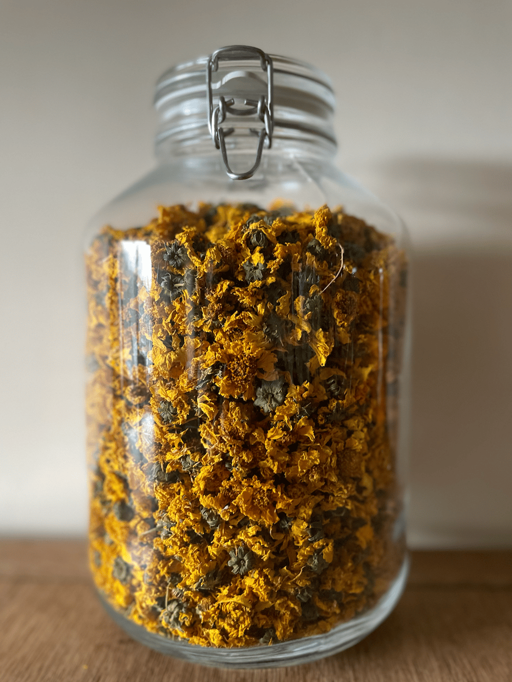 Image of Lanceleaf Coreopsis - Whole dried flowers