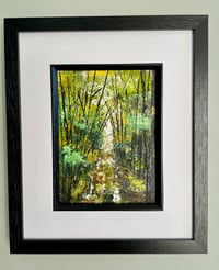 Image 2 of 'Woodland Walk'