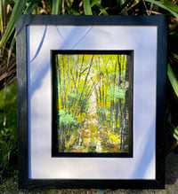 Image 3 of 'Woodland Walk'