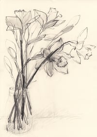 Daffodils no. 1