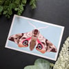 Eyed Hawk Moth Print