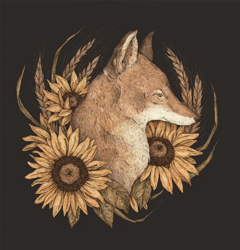 Image of The Coyote and Sunflowers Print