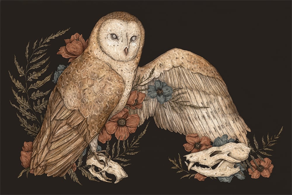 Image of Barn Owl with Skulls Print