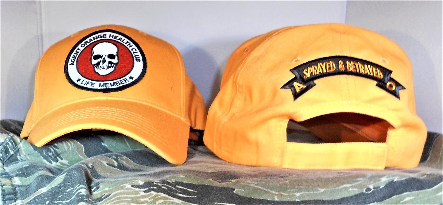 Image of Agent Orange Health Club Life Member Hat