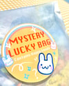 * MYSTERY LUCKY BAG* - pins