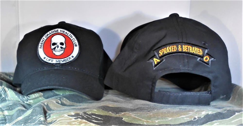 Image of Agent Orange Health Club Member Hat