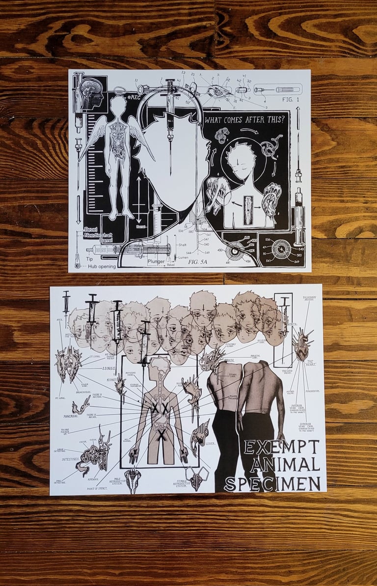 seventh shot Image 2