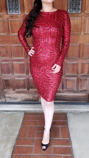 Image of Mireya Sequins Dress 