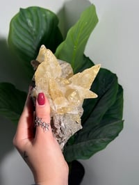 Image 8 of XXL SWEETWATER CALCITE WITH PYRITE -MISSOURI- PORCUPINE POCKET 2025 C