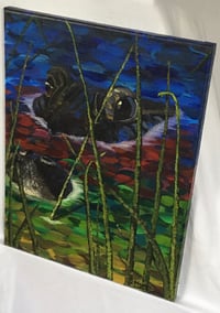 Image 2 of American Alligator 
