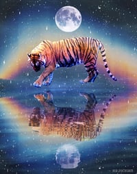 Tiger Reflections Print