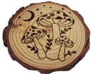 Image 3 of 🍄 Amanita Magnet - Wood Burning Art - Cottagecore - Natural 5" Inches