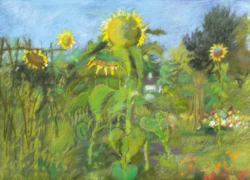Image of Flowers from the Allotment - HL241