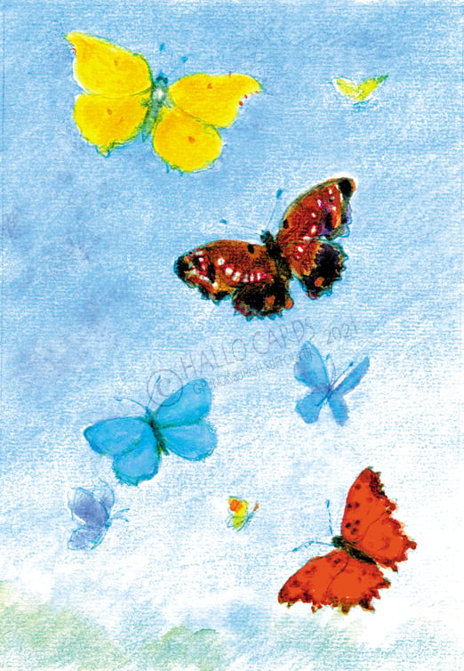 Image of Butterflies - HL240