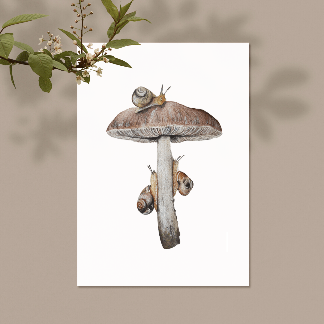 Image of Snail and Mushroom Watercolor PRINT