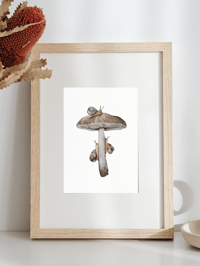 Image 5 of Snail and Mushroom Watercolor PRINT