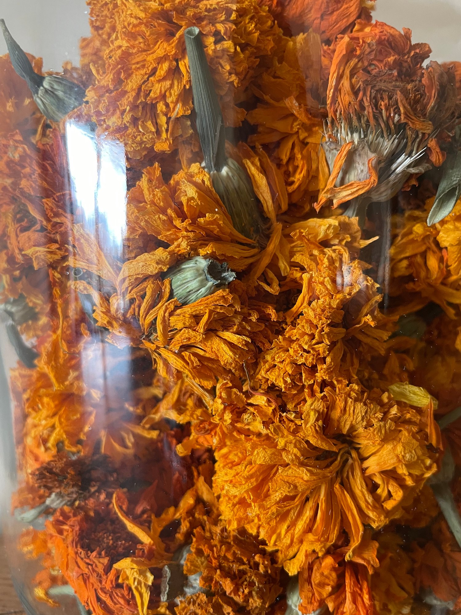 Image of Orange Marigold
