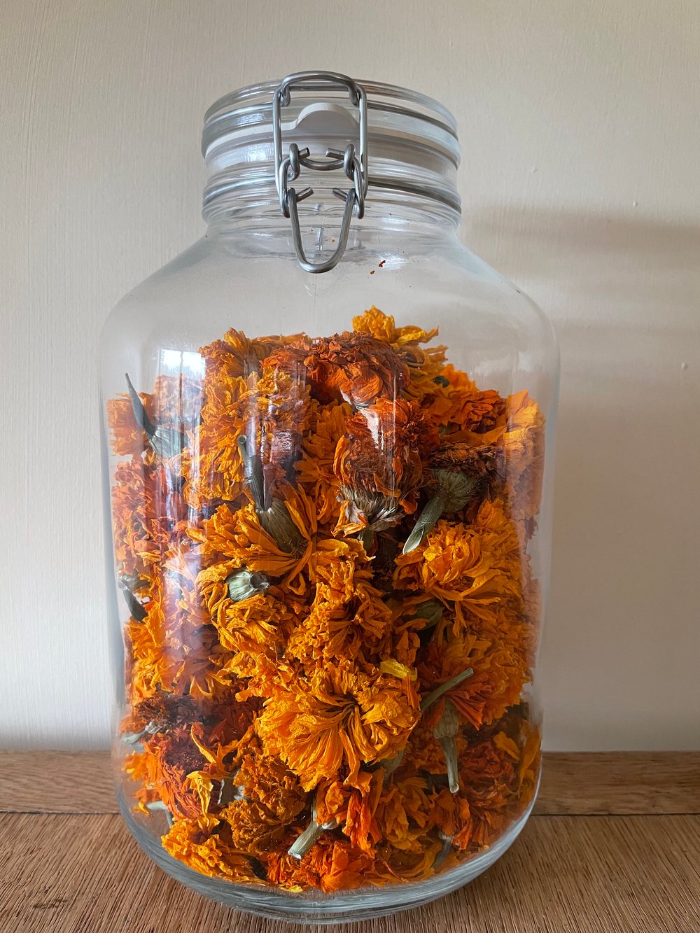 Image of Orange Marigold