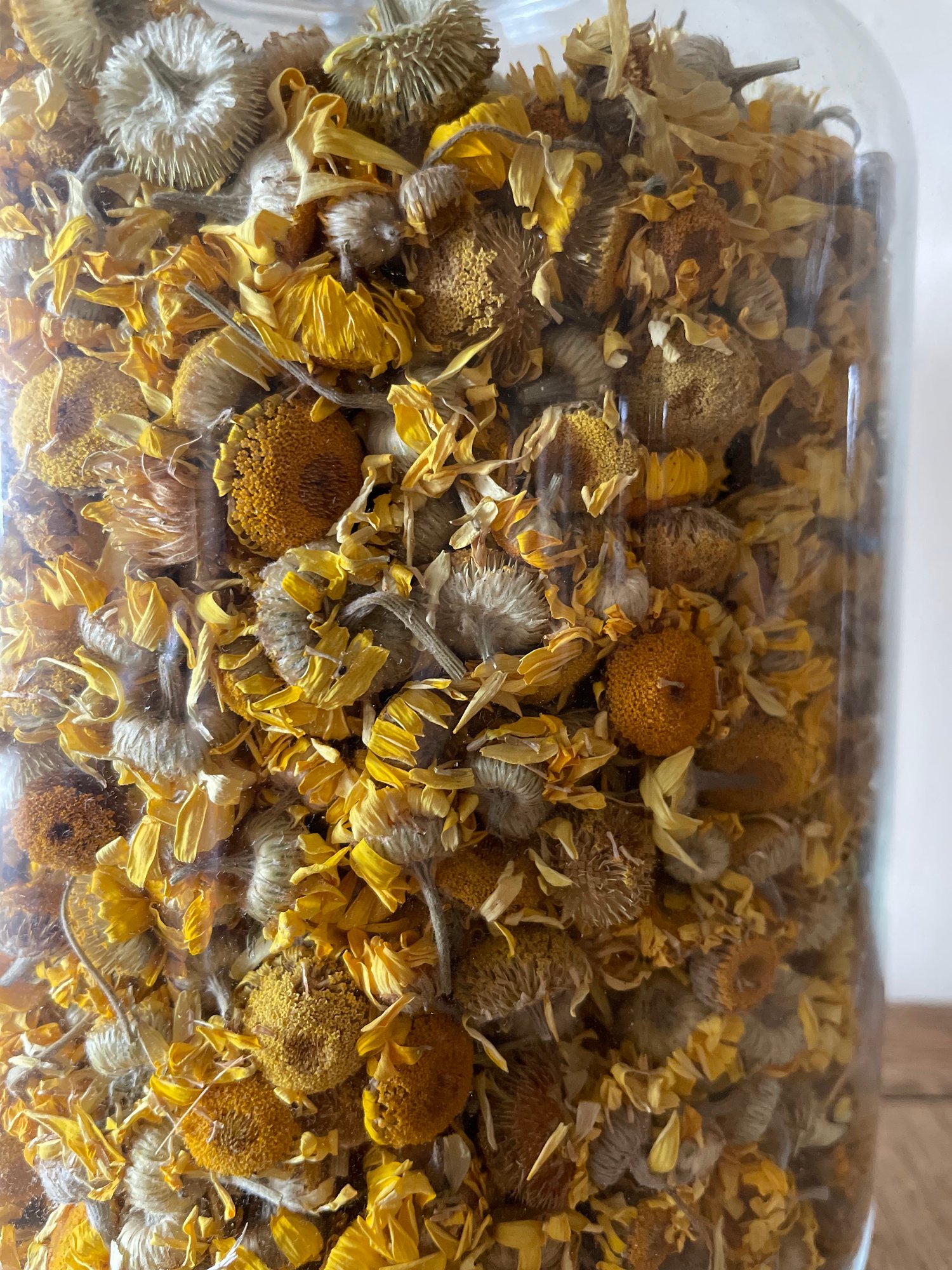 Image of British Dyers Chamomile  -Whole dried flowers