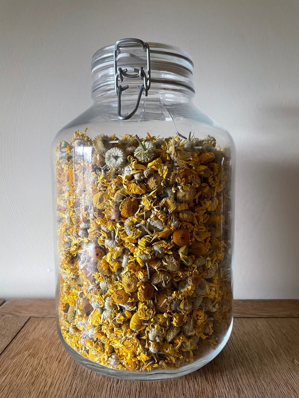 Image of British Dyers Chamomile  -Whole dried flowers