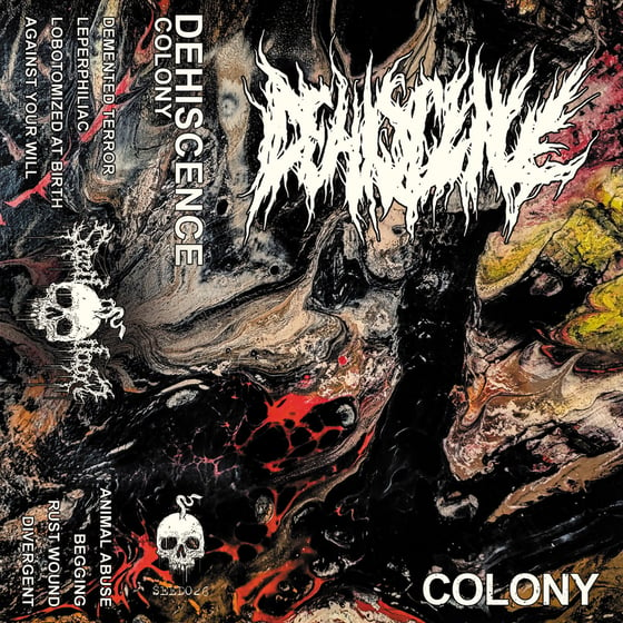 Image of Dehiscence - Colony Cassette