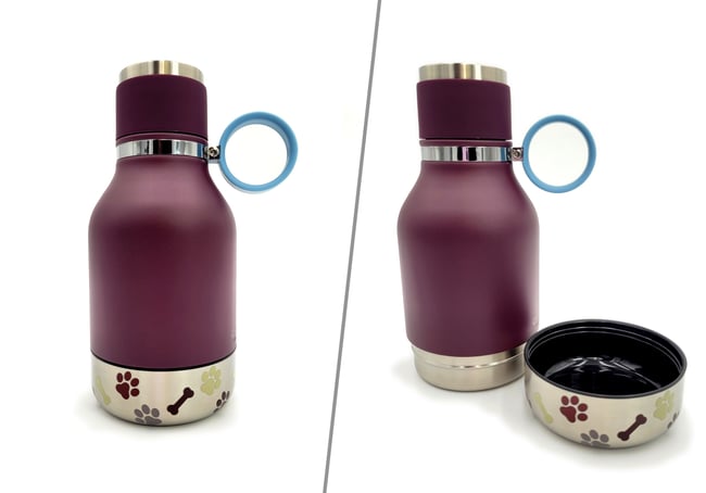 To the Dog Park We Go!