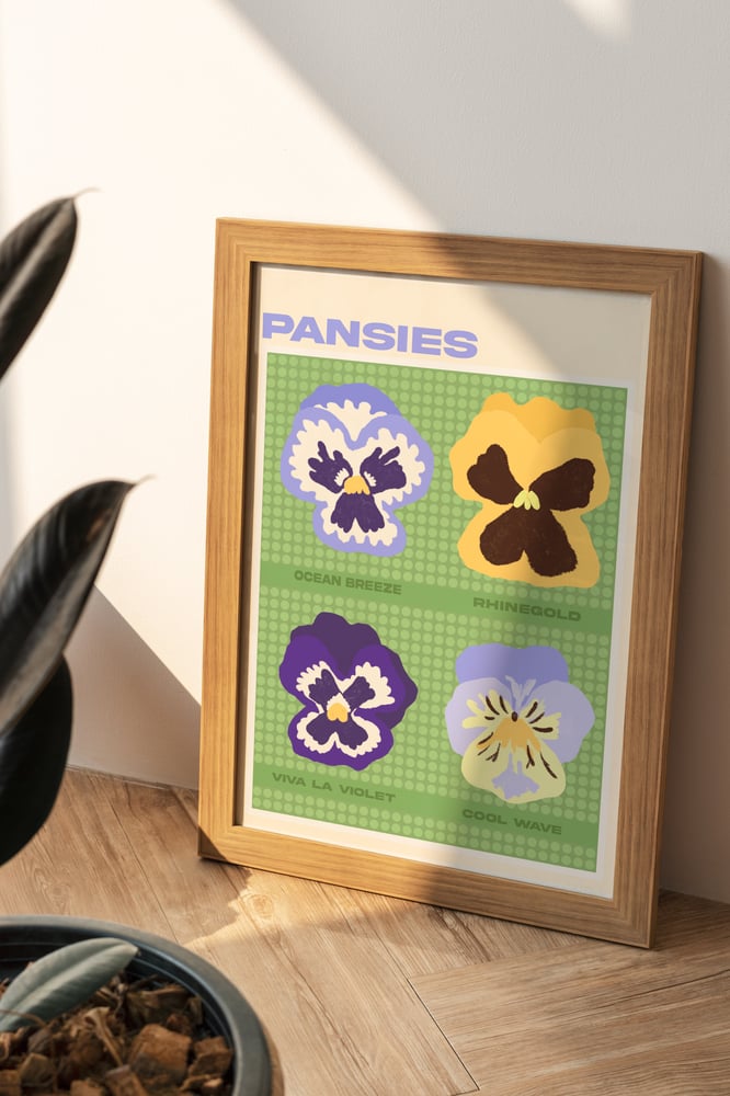 Image of Pansies