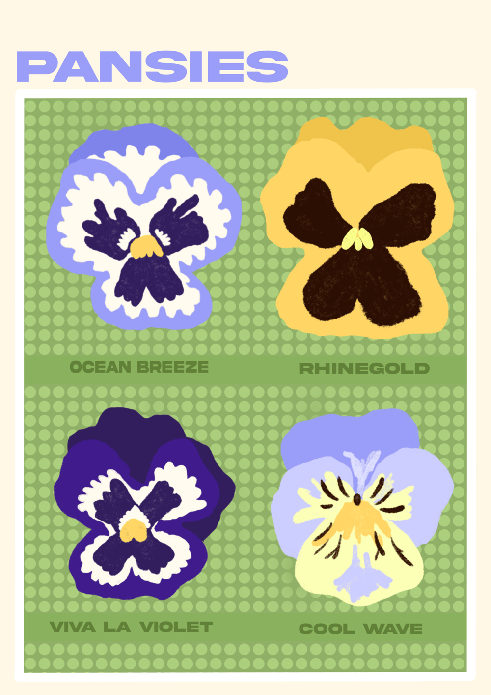 Image of Pansies