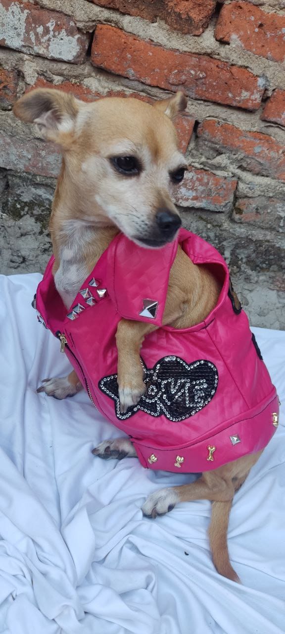 Chaleco "Pinky Love"