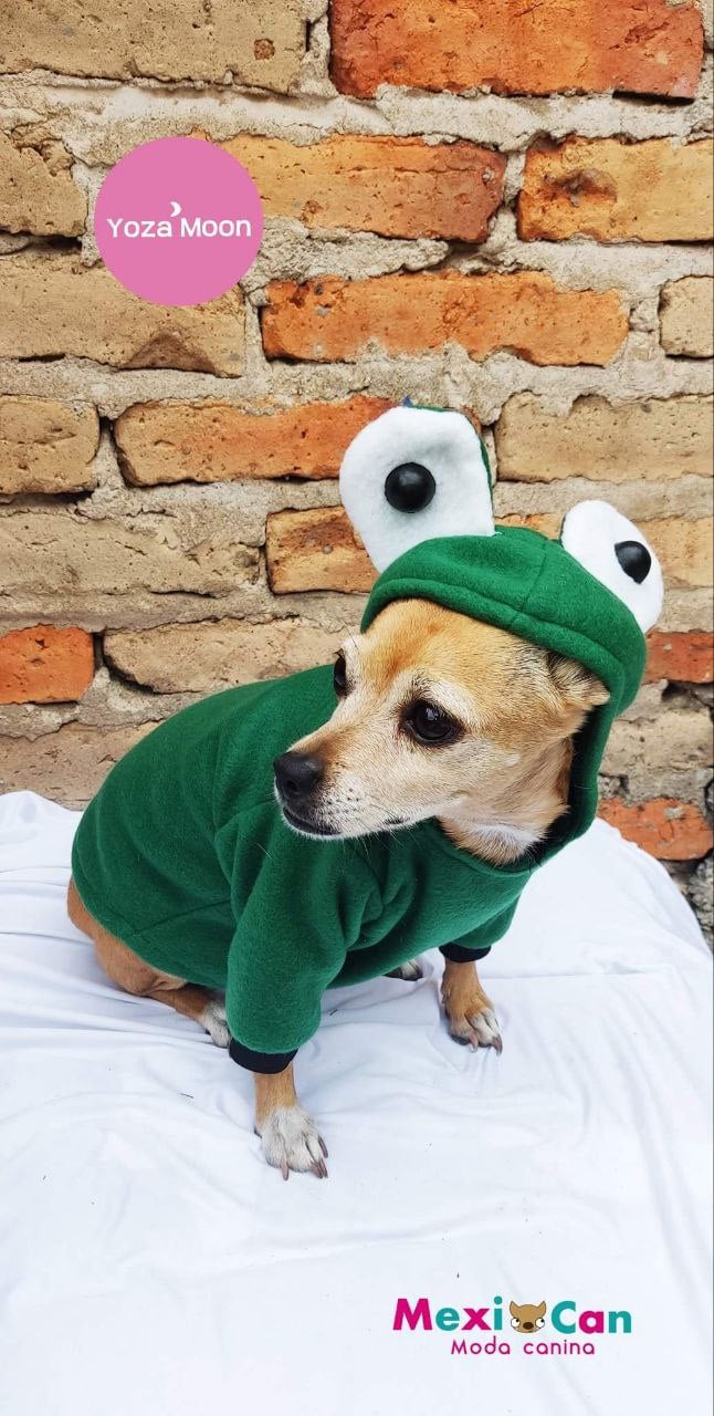 Hoodie "Froggy Dog"
