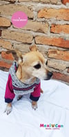 Hoodie de Franela