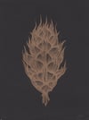 Doug fir cone linocut