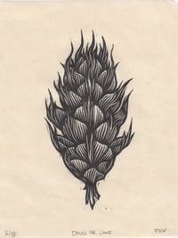 Image of Doug fir cone linocut