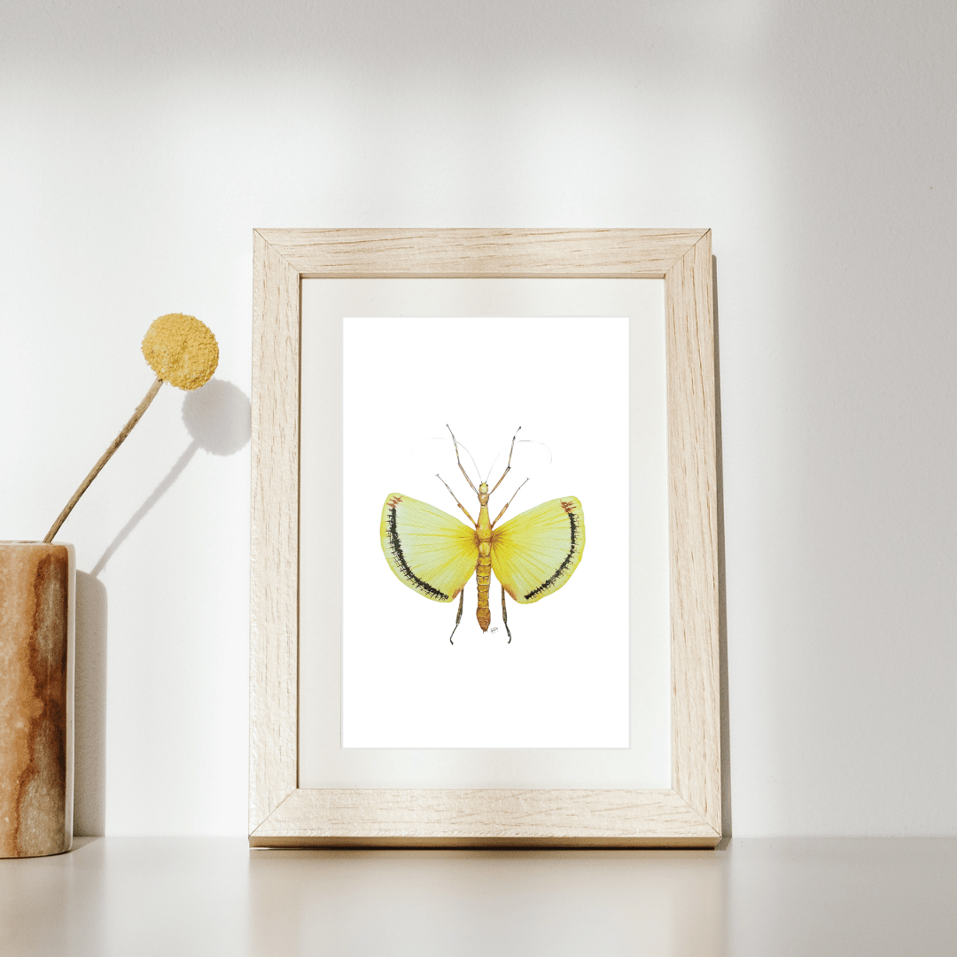 Image of Stick Insect Watercolor Illustration PRINT