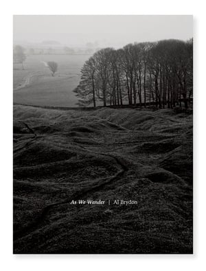 Al Brydon - As We Wander (Second Edition)