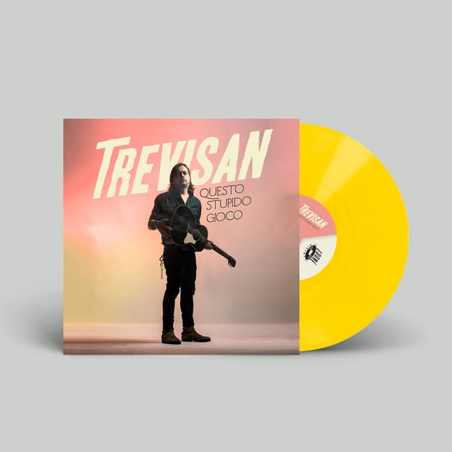 Trevisan - Questo Stupido Gioco