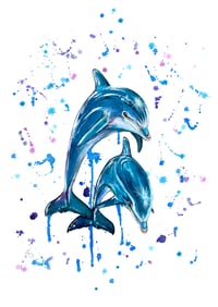 Playful Dolphins