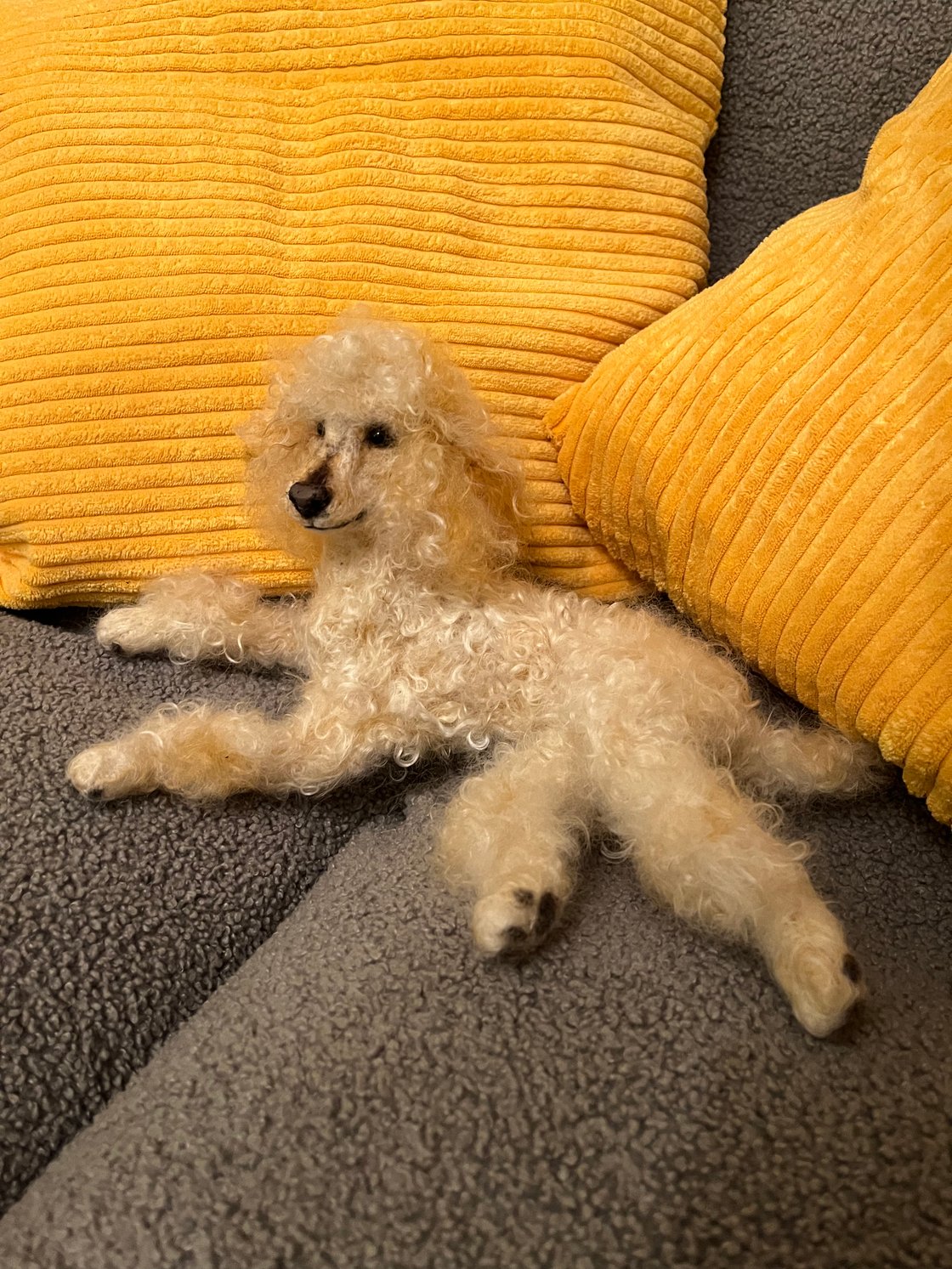 Image of 12” Apricot Poodle