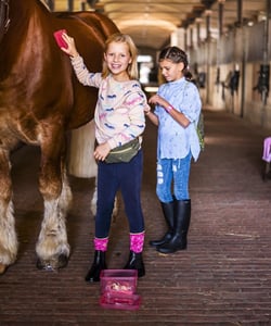 Image of Riñonera Amigos de los Caballos