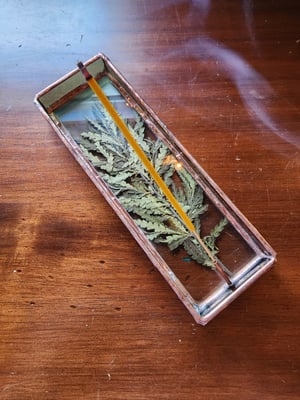 Sweet Fern Incense Burner