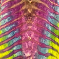 Image 3 of BLACK RAINBOW DRIPPY V TIE DYE LONG SLEEVE TEE SIZE 2XL