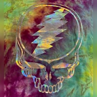 Image 3 of RAINBOW CRUSH HOLOGRAPHIC STEALIE TIE DYE TEE SIZE LARGE