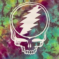 Image 3 of RAINBOW CRUSH STEALIE TIE DYE YOUTH TEE SIZE XS