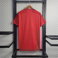 Image 5 of Spain World Cup 2022 Home Jersey