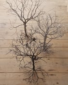 Image of Seasonal Wire  Tree 