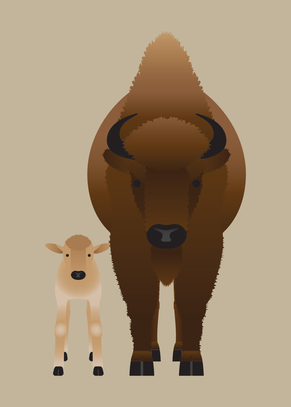 Bison Collection