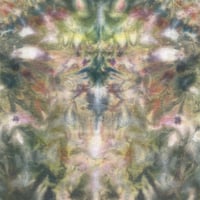 Image 4 of MOSS SCRUNCH TIE DYE YOUTH TEE SIZE SMALL